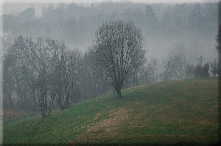 foto Pendici del Monte Grappa in Inverno